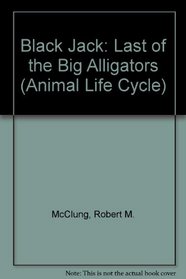 Black Jack: Last of the Big Alligators (The Animal Life Cycle Series)