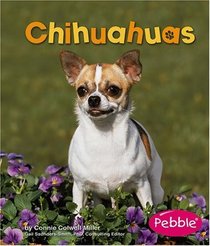 Chihuahuas (Pebble Books)