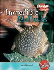 Incredible Molluscs (Incredible Creatures)