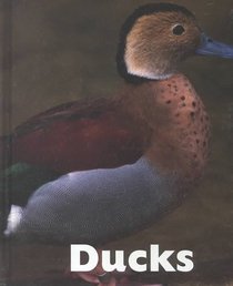 Ducks (Naturebooks)