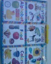 Chunky Fun Books Package: Colors, Numbers, Food, Playtime, Alphabet, Animals