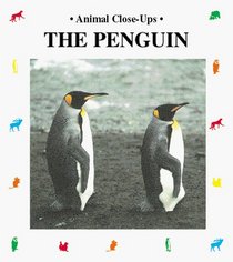 The Penguin (Animal Close-Ups)