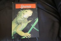 Iguanas (Exotic Lizards)