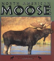 North American Moose (Nature Watch)