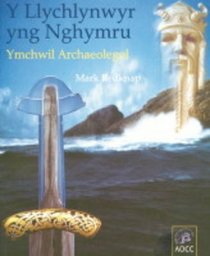 Vikings in Wales: An Archaeological Quest
