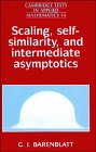 Scaling, Self-similarity, and Intermediate Asymptotics : Dimensional Analysis and Intermediate Asymptotics (Cambridge Texts in Applied Mathematics)