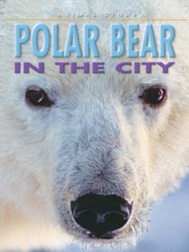 Polar Bear in the City (Animal Story)