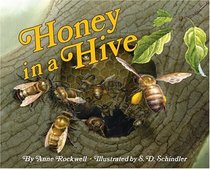 Honey in a Hive (Let's-Read-and-Find-Out Science 2)