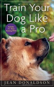 Train Your Dog Like a Pro