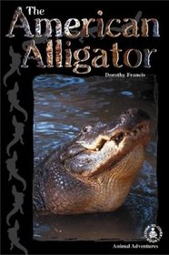 American Alligator (Cover-to-Cover Chapter Books: Animal Adv.-Water)