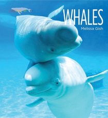 Whales (Living Wild)