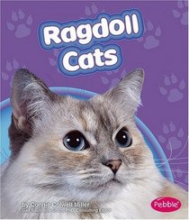 Ragdoll Cats (Pebble Books)