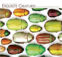 Exquisite Creatures 2010 Calendar (Wall Calendar)