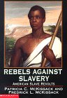 Rebels Against Slavery: American Slave Revolts