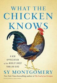 What the Chicken Knows: A New Appreciation of the World's Most Familiar Bird