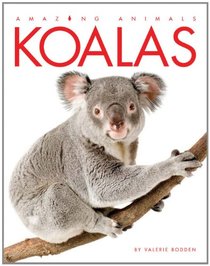 Amazing Animals: Koalas
