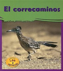 El Correcaminos/roadrunners (Mi Gran Jardin / My Big Backyard) (Spanish Edition)