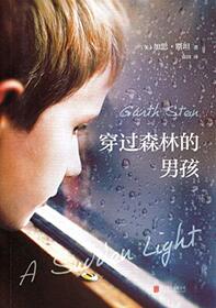 A Sudden Light (Chinese Edition)