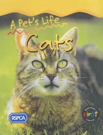 Cat: Big Book (Pet's Life)