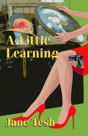 A Little Learning (Madeline Maclin, Bk 3)