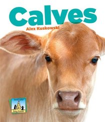 Calves (Baby Animals)