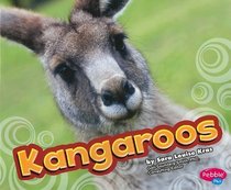 Kangaroos (Australian Animals)