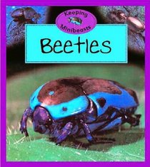 Beetles (Keeping Minibeasts)