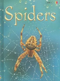 Spiders (Usborne Beginners)