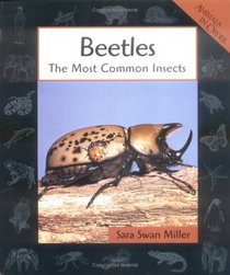 Beetles: The Most Common Insects (Animals in Order)