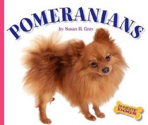 Pomeranians (Domestic Dogs)