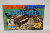 Jumping Spider (Life Cycles)