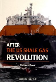 After the US Shale Gas Revolution