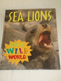 Wild Wild World - Sea Lions (Wild Wild World)
