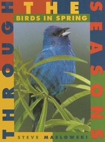 Birds in Spring (Through the Seasons, Bk 1)