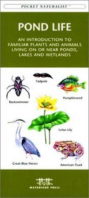 Pond Life (Pocket Naturalist - Waterford Press)