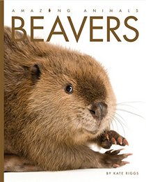 Amazing Animals: Beavers