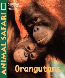 Animal Safari - Orangatans (Animal Safari)