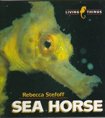 Sea Horse (Living Things)