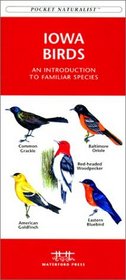 Iowa Birds (Pocket Naturalist)