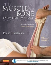 The Muscle and Bone Palpation Manual with Trigger Points, Referral Patterns and Stretching, 2e