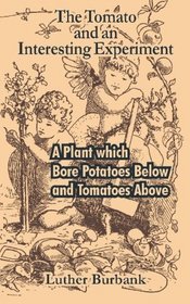 The Tomato and an Interesting Experiment: A Plant which Bore Potatoes Below and Tomatoes Above