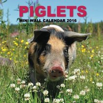 Piglets Mini Wall Calendar 2016: 16 Month Calendar