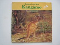 Kangaroo (Animals in the Wild)