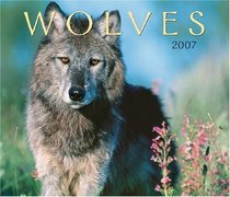 Wolves 2007 (Calendar)