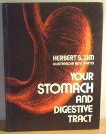 Your Stomach and Digestive Tract