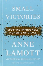 Small Victories: Spotting Improbable Moments of Grace (Thorndike Press Large Print Core Series)