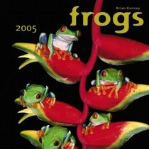 Frogs 2005 Wall Calendar