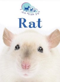 Rat (I Am Your Pet)