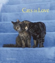 Cats in Love