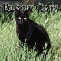 Black Cats 2005 Wall Calendar